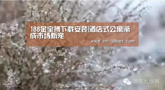 188金宝搏下载安装|酒店式公寓渐成市场新宠(图4) 188金宝搏官网登录